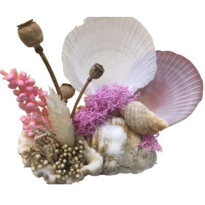 Seashell Gifts